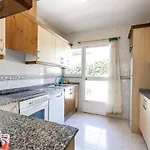3383 Encina モライラ